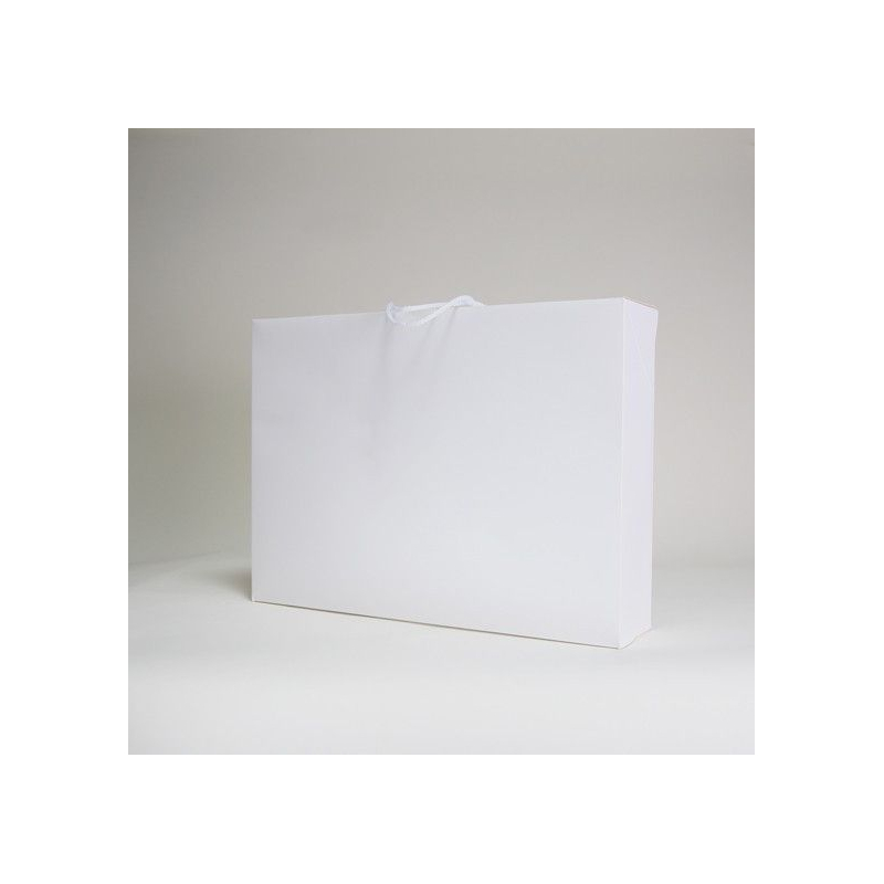 Customized Flat delivered boxes Suitcase box