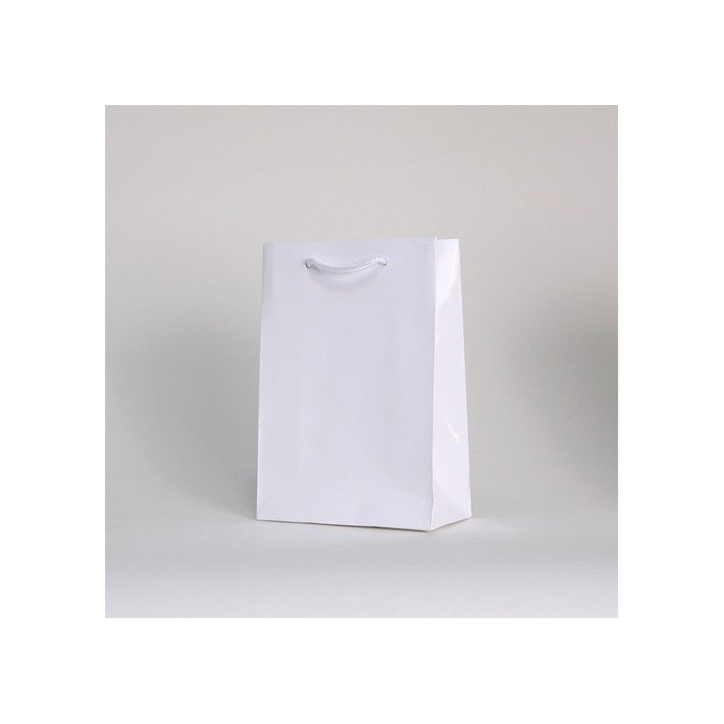 Customized Bags with rope or ribbons handles Laminated paper bag
