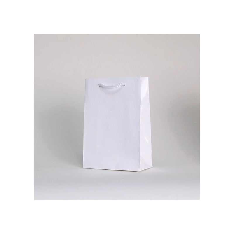 Customized Bags with rope or ribbons handles Laminated paper bag Customized Bags with rope or ribbons handles Laminated paper bag