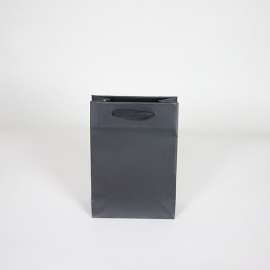 Customized Bags with rope or ribbons handles Laminated paper bag