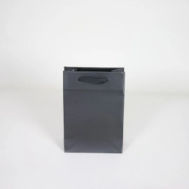 Customized Bags with rope or ribbons handles Laminated paper bag