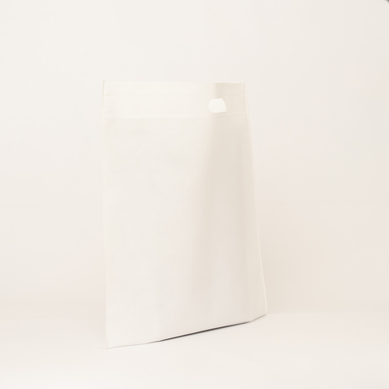 Non-Woven Fabric Bag 50x50 cm – Durable & Eco-Friendly TNT Tote