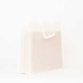 SAC LUS Non-Woven Fabric Bag 60x15x50 cm – Durable & Eco-Friendly Tote