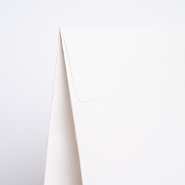 Luxury Paper Bag 22x8x29 cm | Premium Gift Packaging