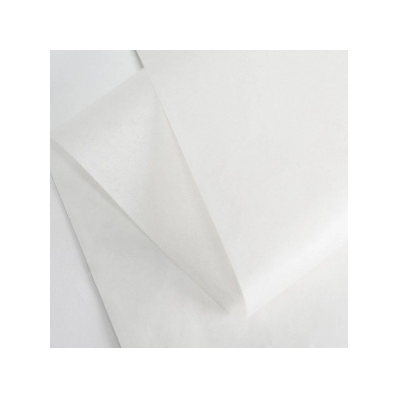 TISSUE PAPER 100X75 CM TISSUE PAPER 100X75 CM