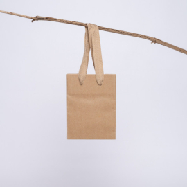 Luxury Kraft Noblesse Bag – Premium Eco-Friendly Paper Tote