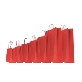 COLORED SAFARI PAPER BAG WITH TWISTED HANDLES