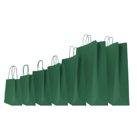 COLORED SAFARI PAPER BAG WITH TWISTED HANDLES
