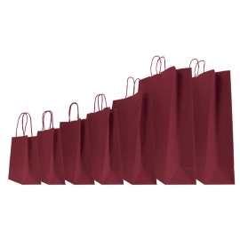 COLORED SAFARI PAPER BAG WITH TWISTED HANDLES
