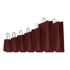 COLORED SAFARI PAPER BAG WITH TWISTED HANDLES
