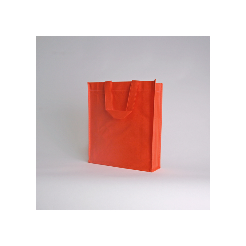 LUS Non-Woven Fabric Bag 25x30x10 cm – Durable & Eco-Friendly Tote