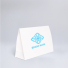 Noblesse Premium Paper Pouch 52x11x42 cm – Luxury High-End Gift Bag
