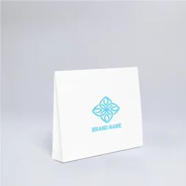 Luxury Paper Gift Bag 23x4x18 cm | Premium Packaging